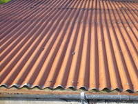 Shed Rust